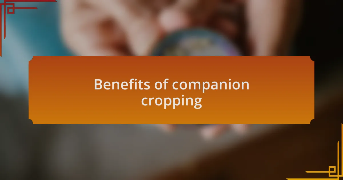 Benefits of companion cropping
