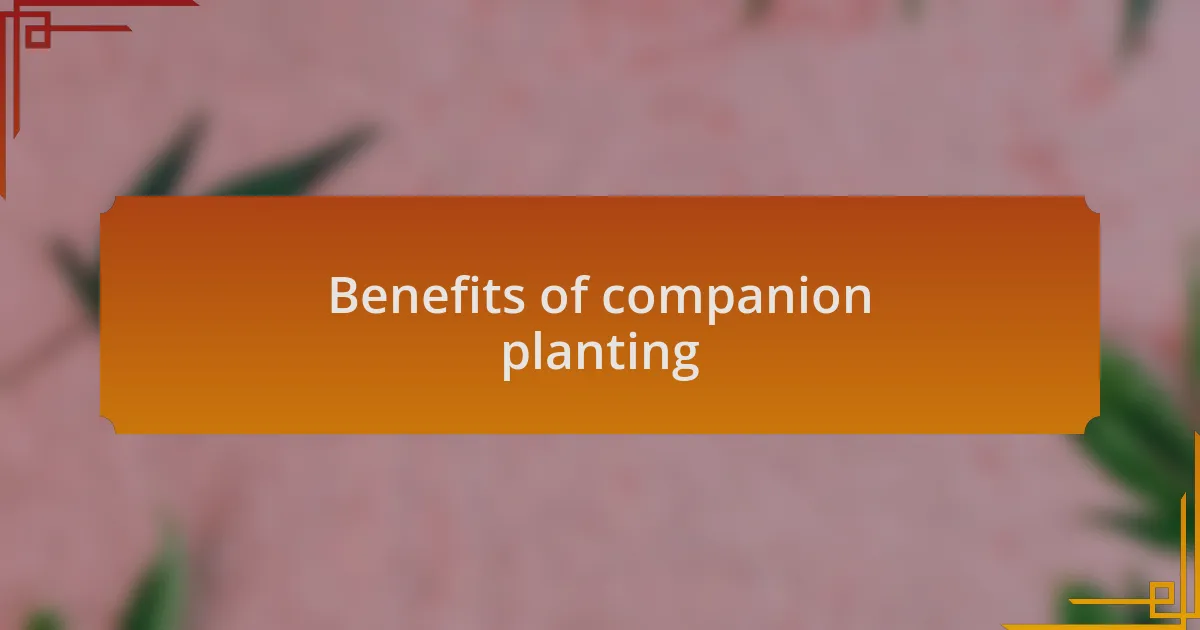 Benefits of companion planting