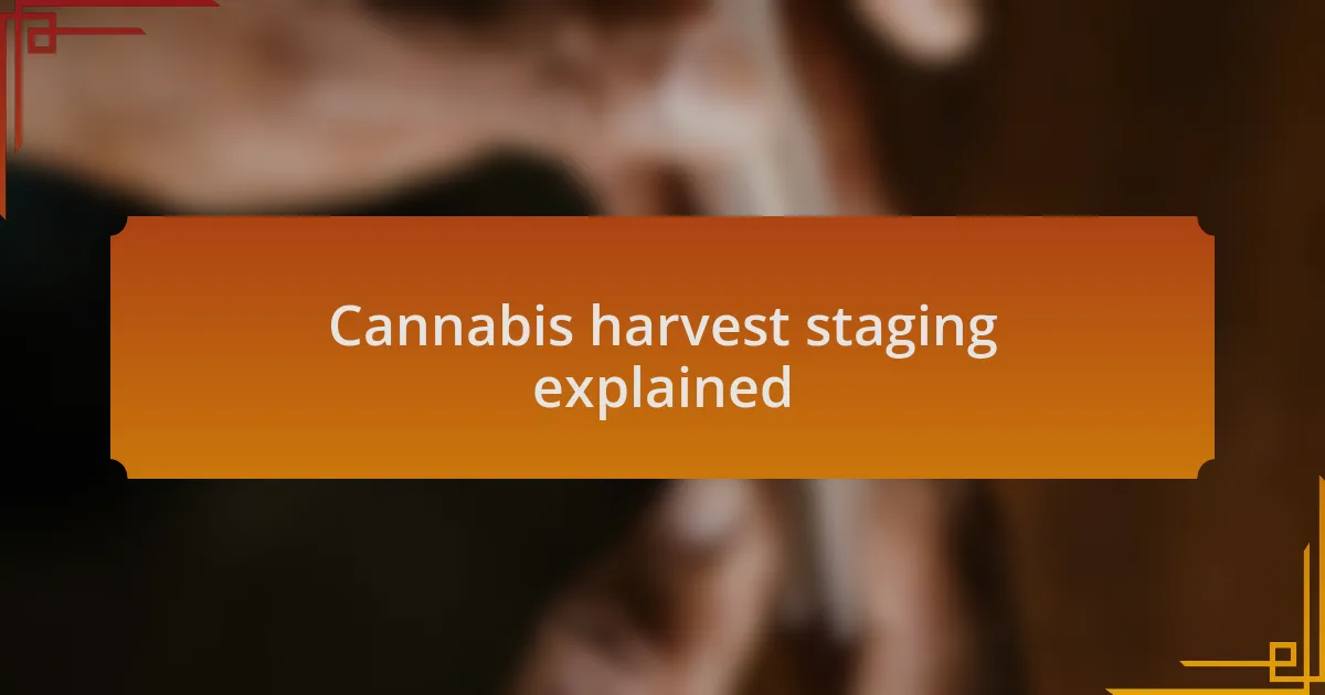 Cannabis harvest staging explained