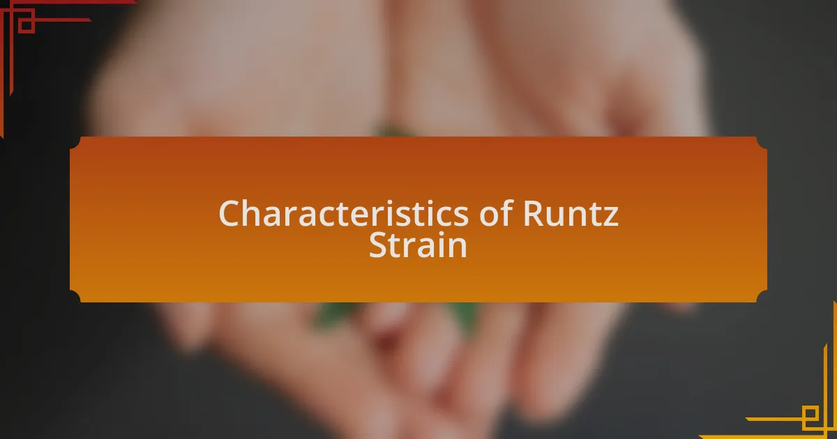 Characteristics of Runtz Strain