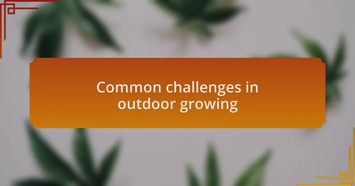 Common challenges in outdoor growing