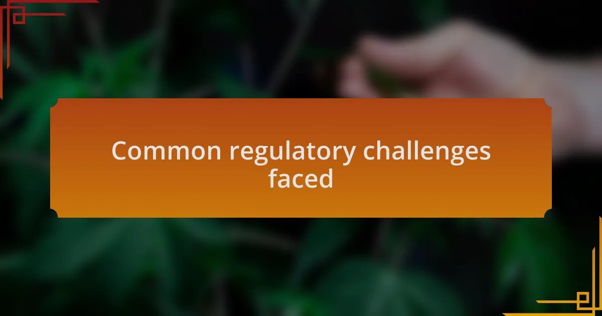 Common regulatory challenges faced