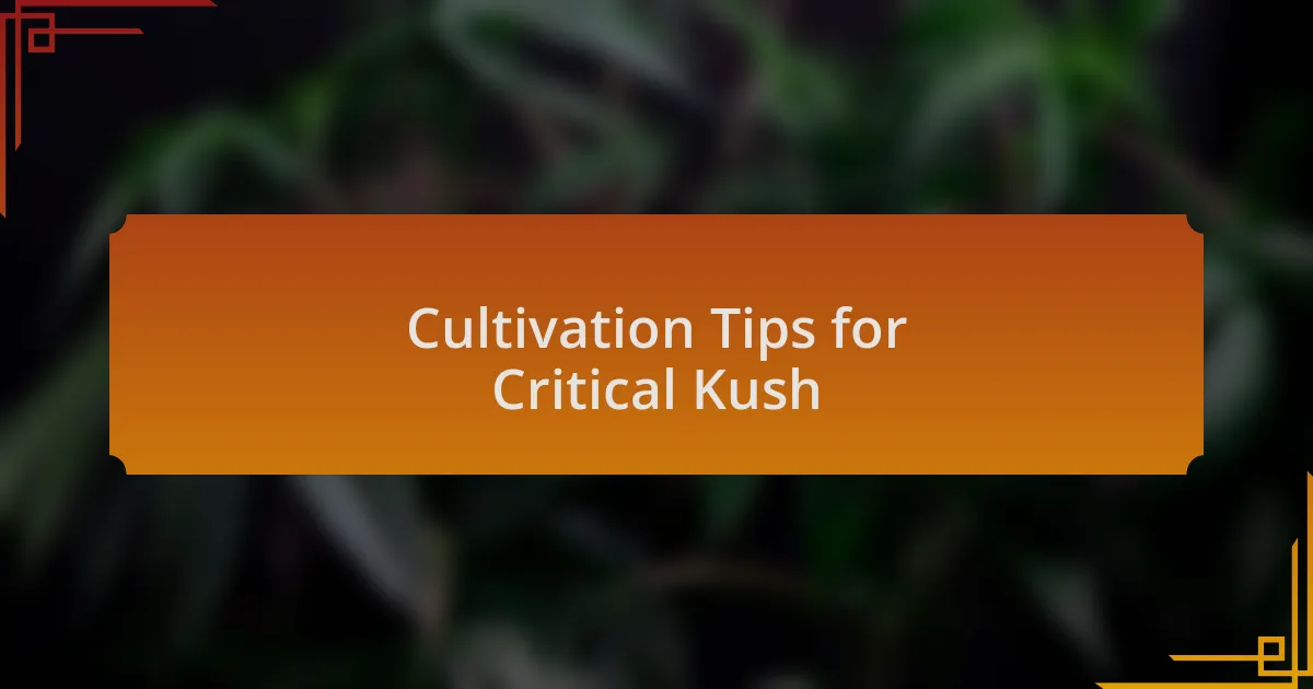 Cultivation Tips for Critical Kush