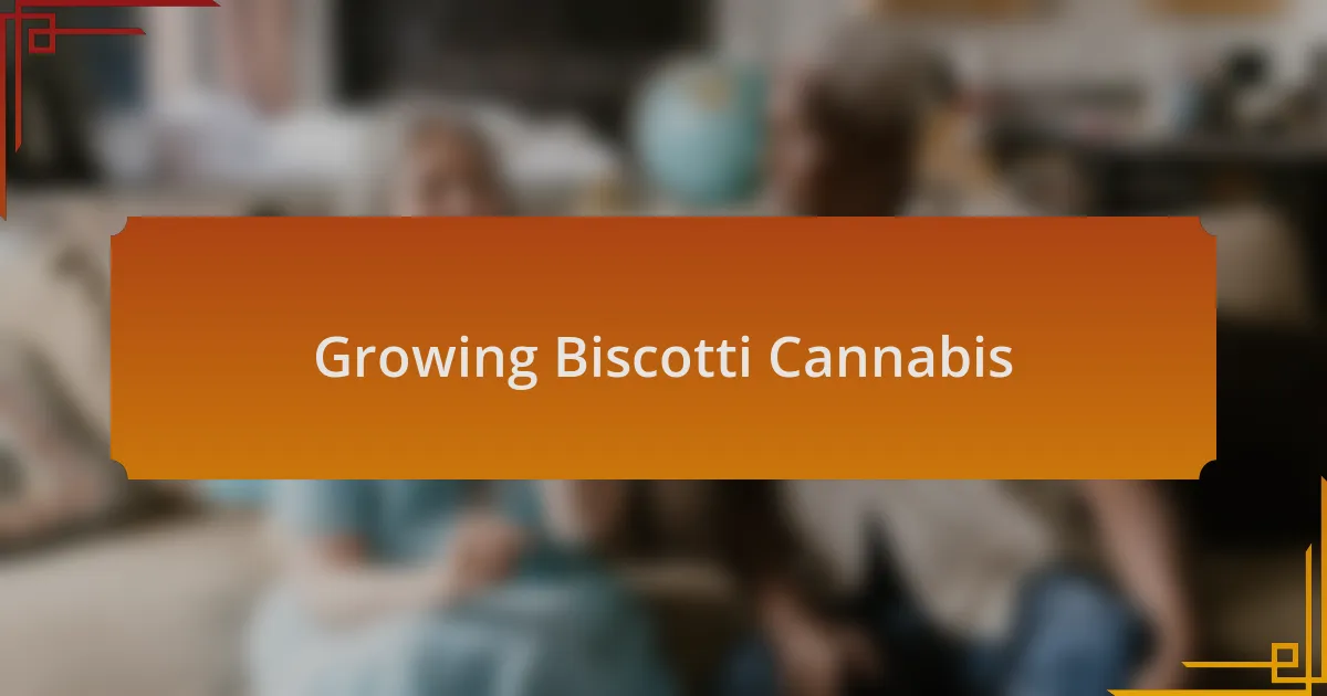 Growing Biscotti Cannabis