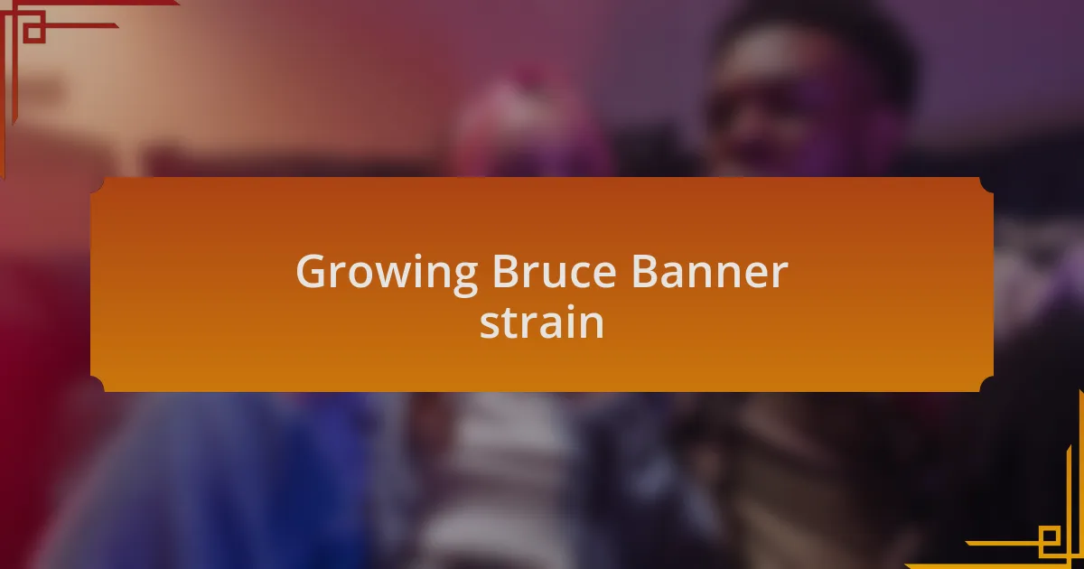 Growing Bruce Banner strain