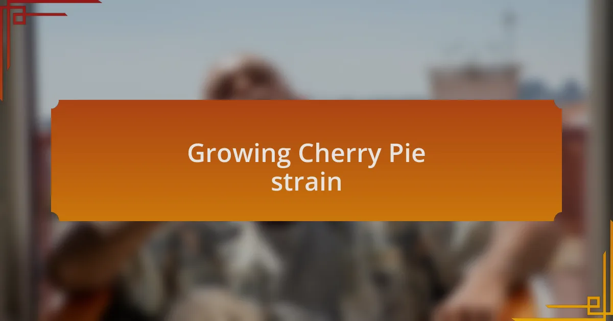 Growing Cherry Pie strain