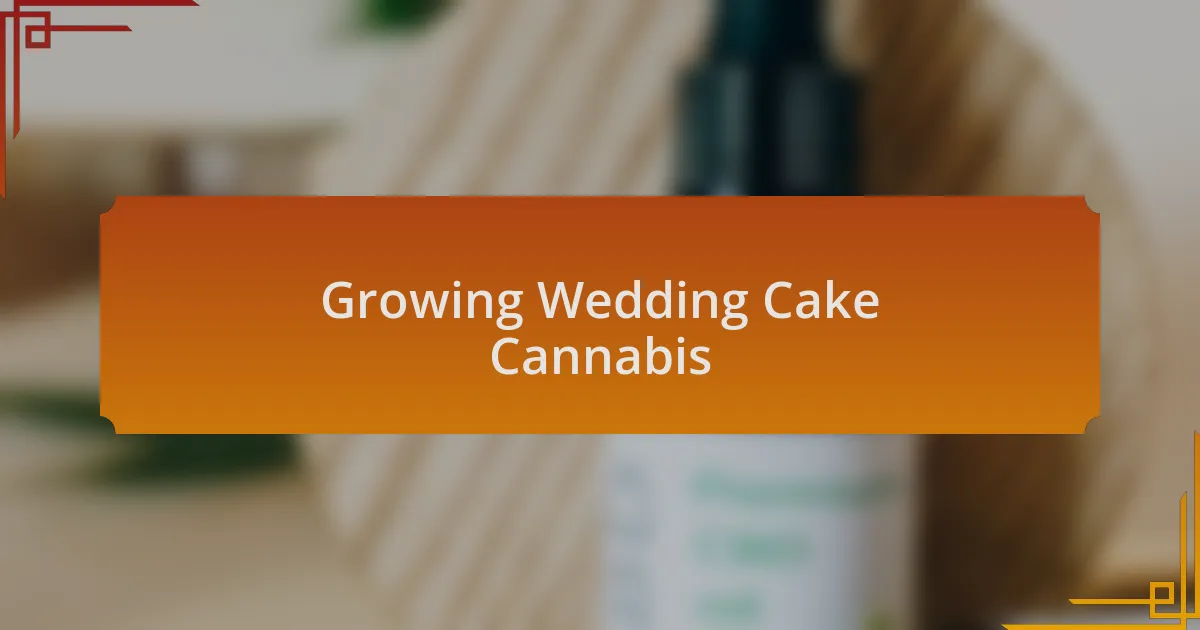 Growing Wedding Cake Cannabis