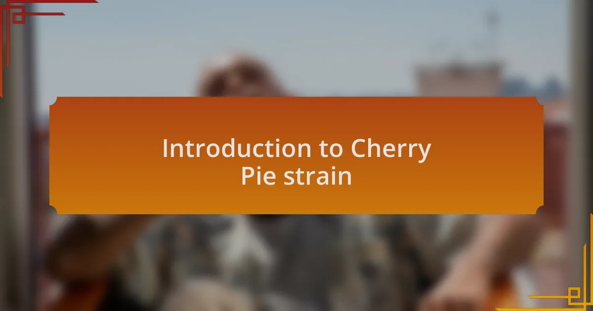 Introduction to Cherry Pie strain