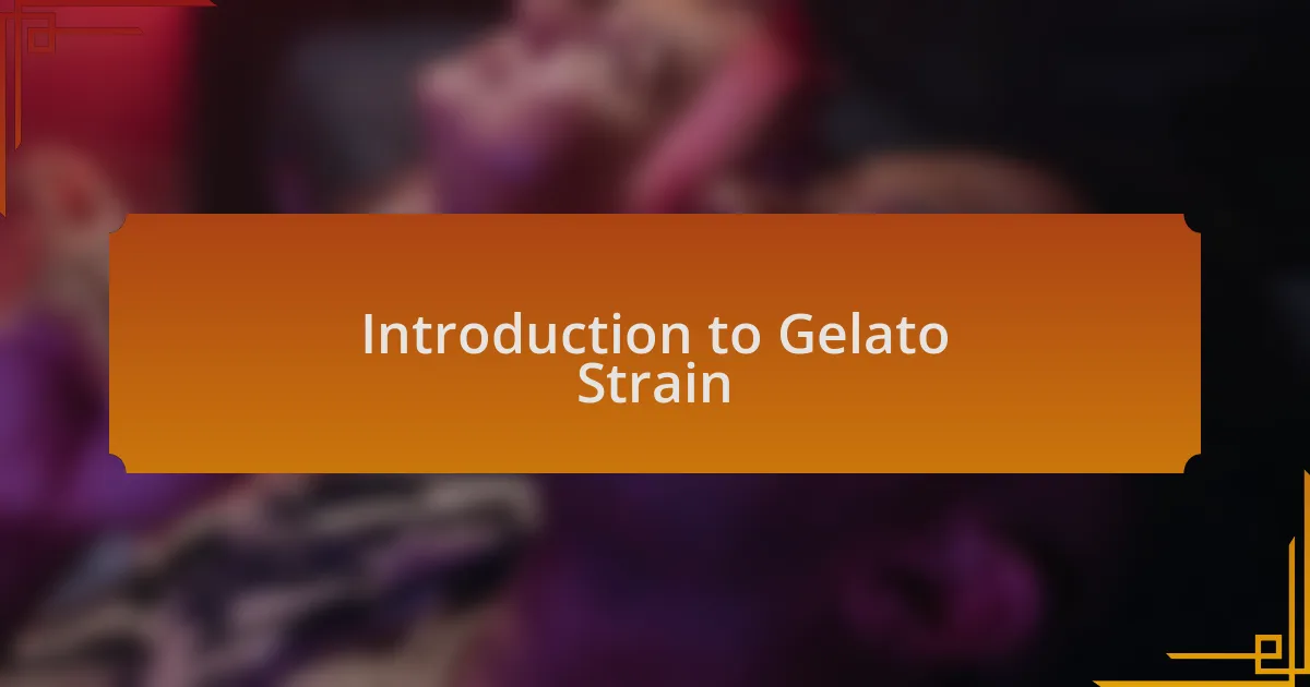 Introduction to Gelato Strain