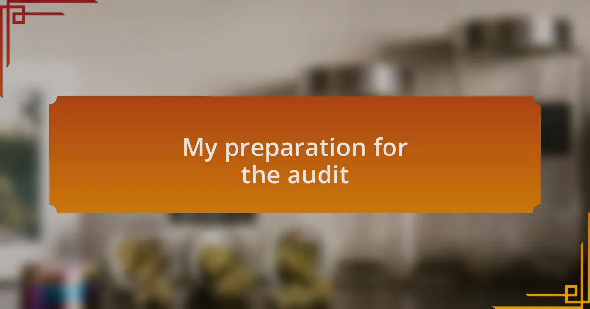 My preparation for the audit