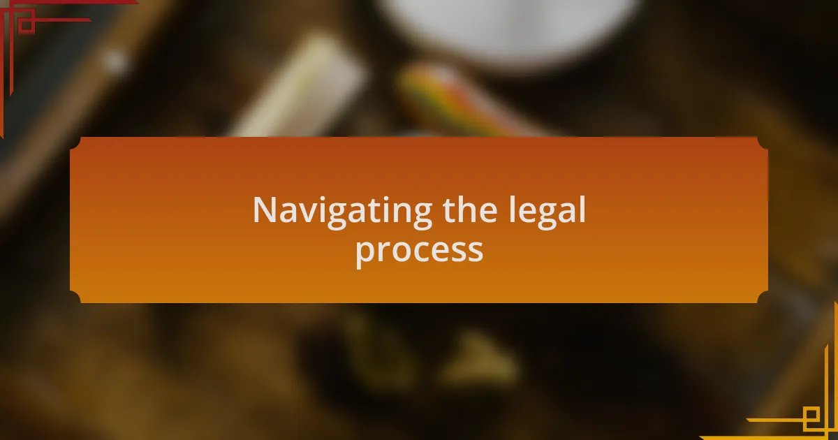 Navigating the legal process