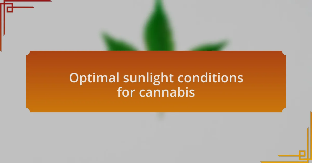 Optimal sunlight conditions for cannabis