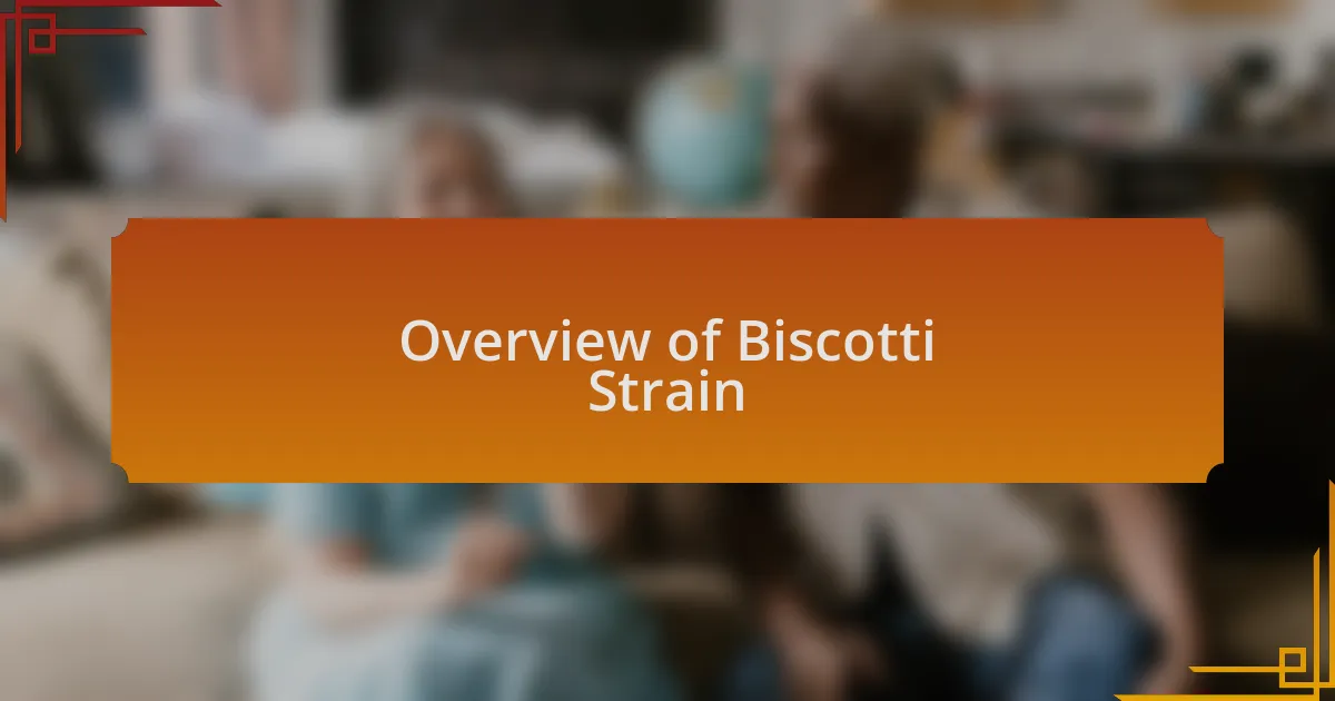 Overview of Biscotti Strain