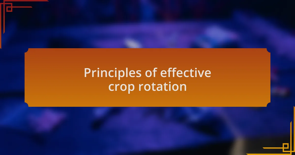 Principles of effective crop rotation