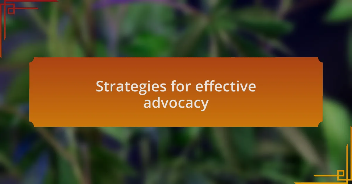 Strategies for effective advocacy