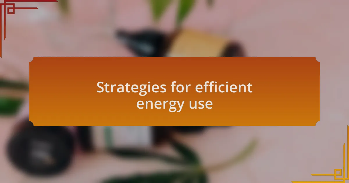 Strategies for efficient energy use