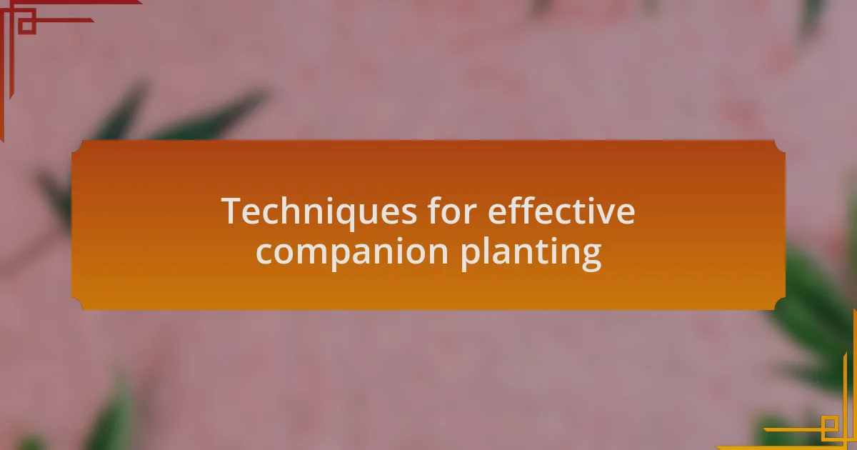 Techniques for effective companion planting