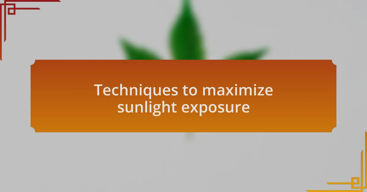 Techniques to maximize sunlight exposure