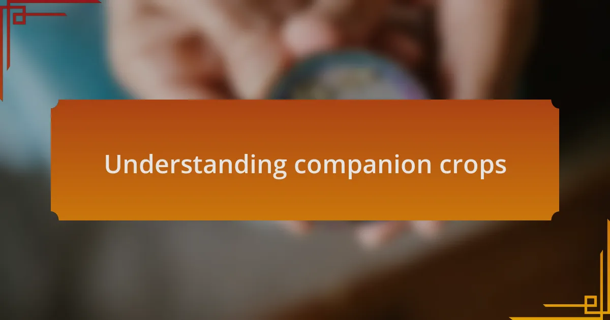 Understanding companion crops