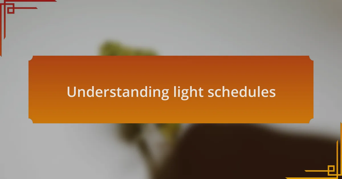 Understanding light schedules