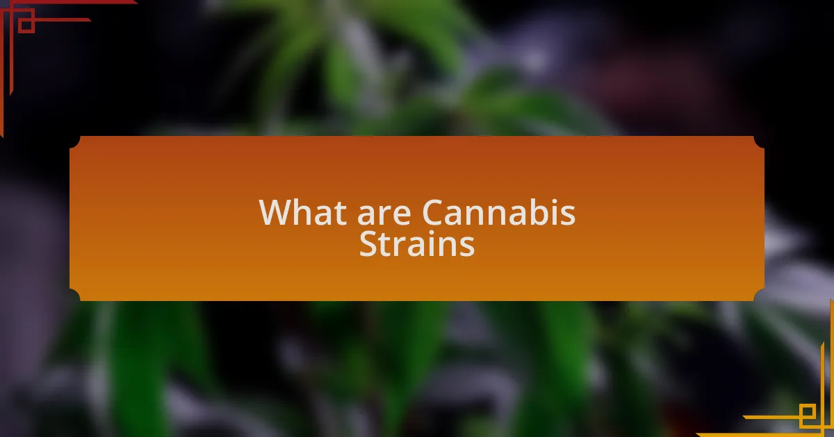 What are Cannabis Strains