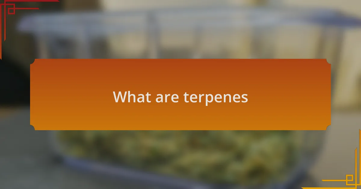 What are terpenes