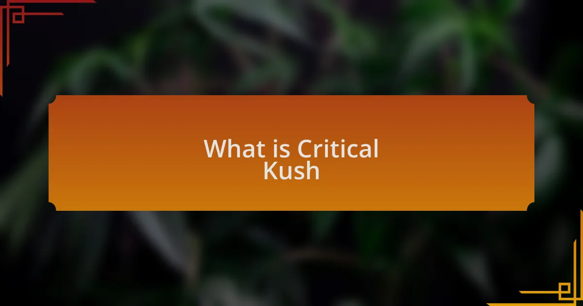 What is Critical Kush