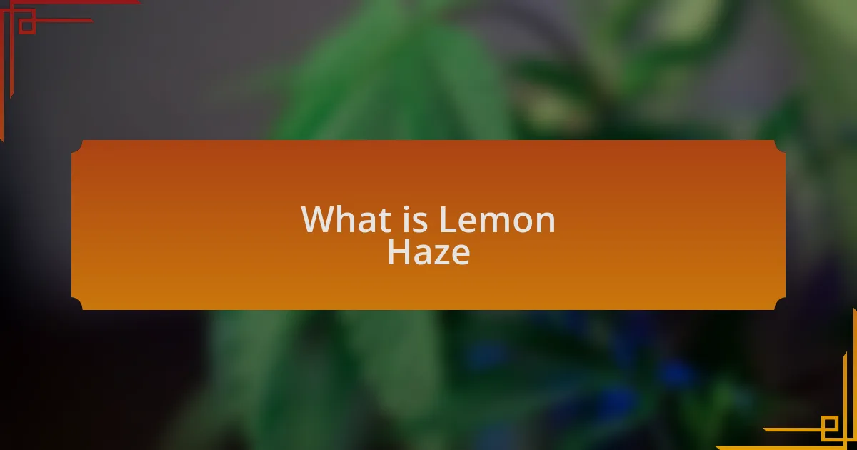 What is Lemon Haze